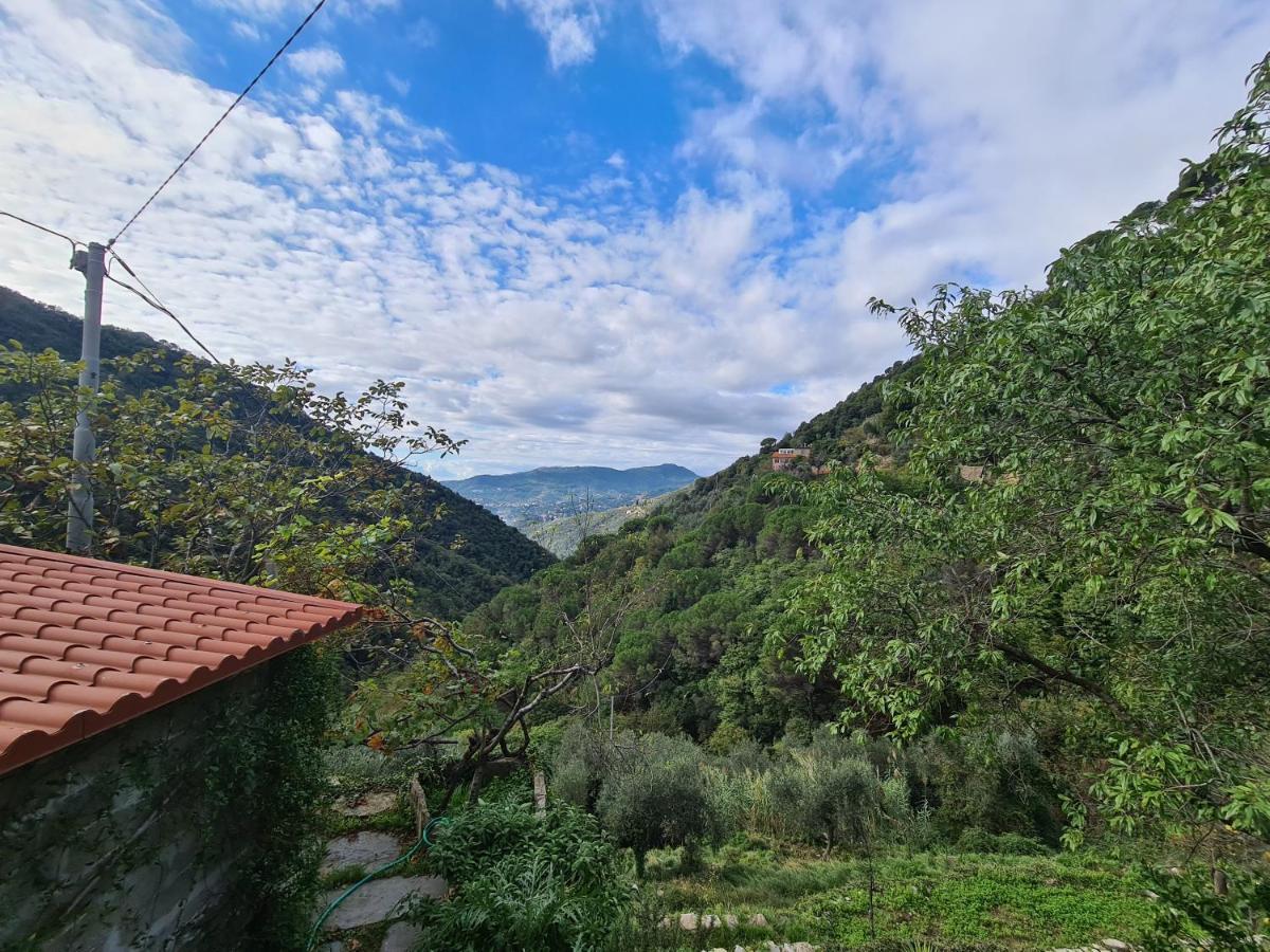 Castrusso Il Frantoio Di Rapallo By Portofinovacanze Eksteriør billede
