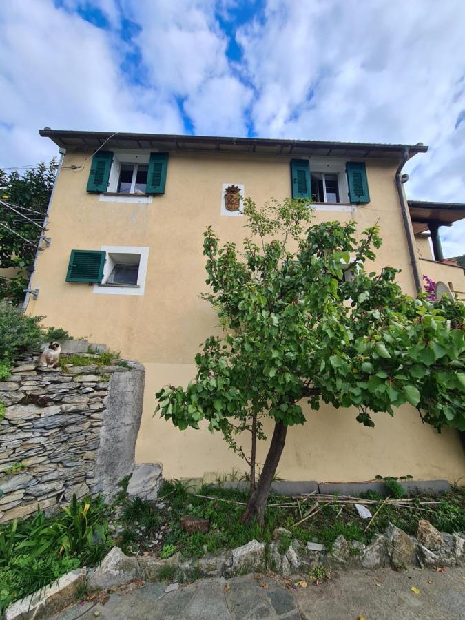 Castrusso Il Frantoio Di Rapallo By Portofinovacanze Eksteriør billede