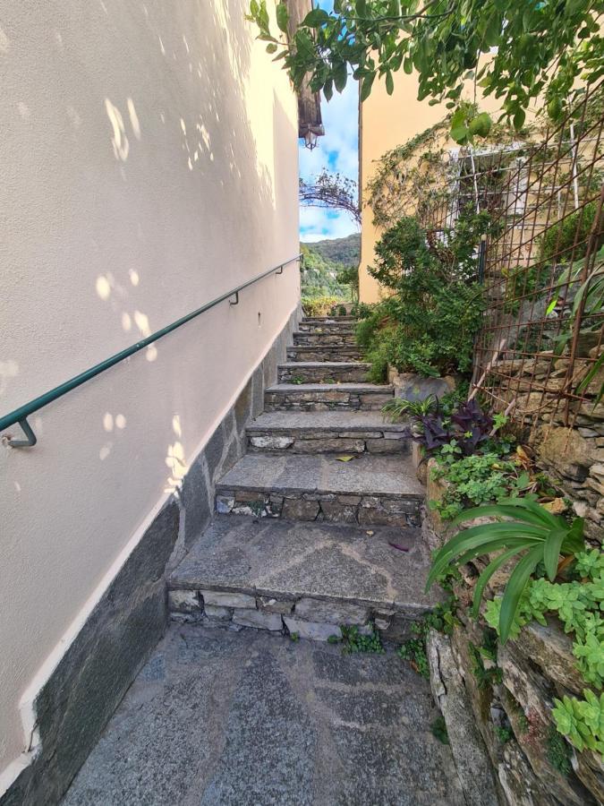 Castrusso Il Frantoio Di Rapallo By Portofinovacanze Eksteriør billede